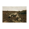 thumbnail image 1 of Anton Mauve 'The return of the Flock' Canvas Art, 1 of 3