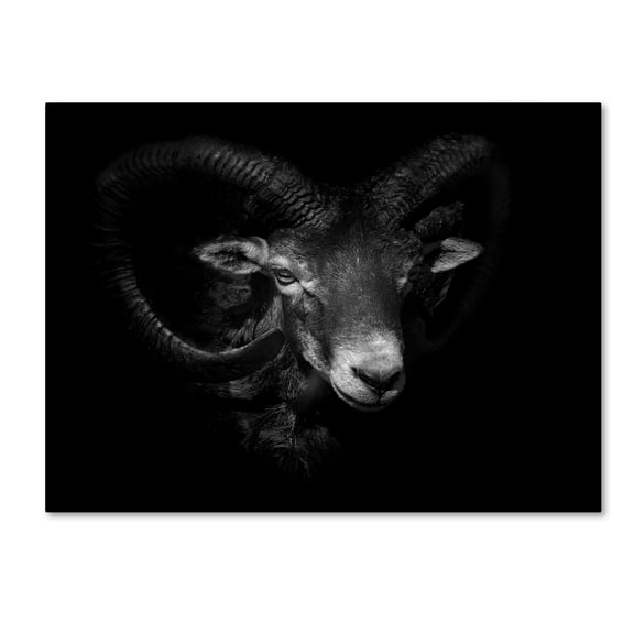 Ferdinando Valverde 'Between Horns' Canvas Art