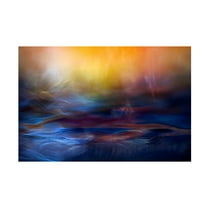 Willy Marthinussen 'Inner Peace' Canvas Art