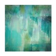 thumbnail image 1 of Color Bakery 'Aqua Circumstance' Canvas Art, 1 of 4