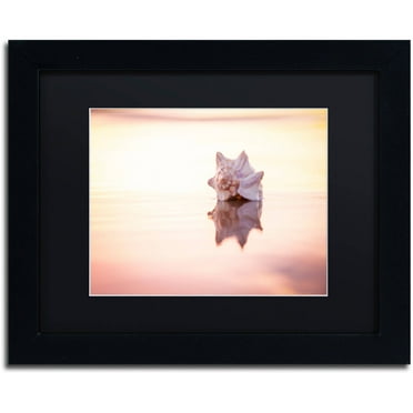 Chris Moyer 'King of the Beach' Black Matted Framed Art