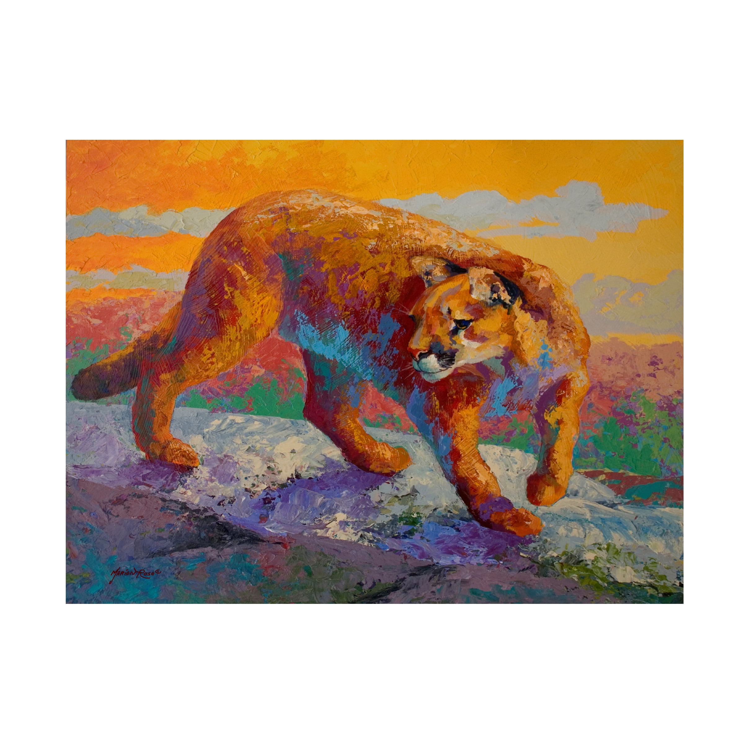 Marion Rose 'Ridge Cougar' Canvas Art