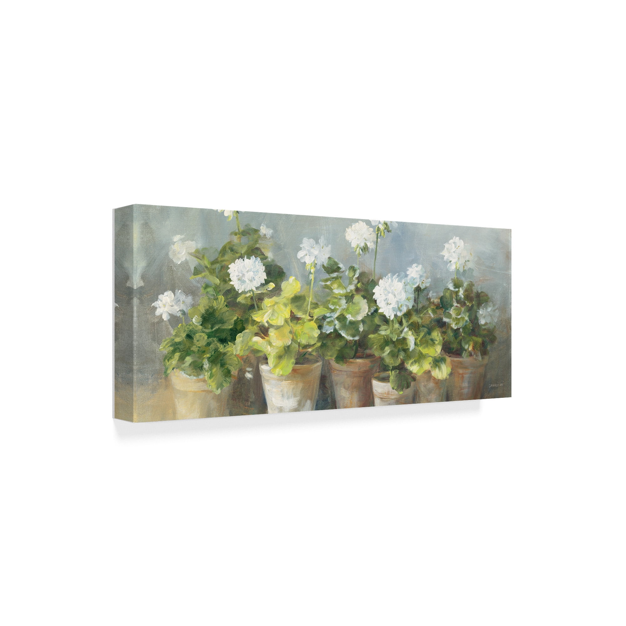 White Geraniums Horizontal Canvas Art in Green and Tan