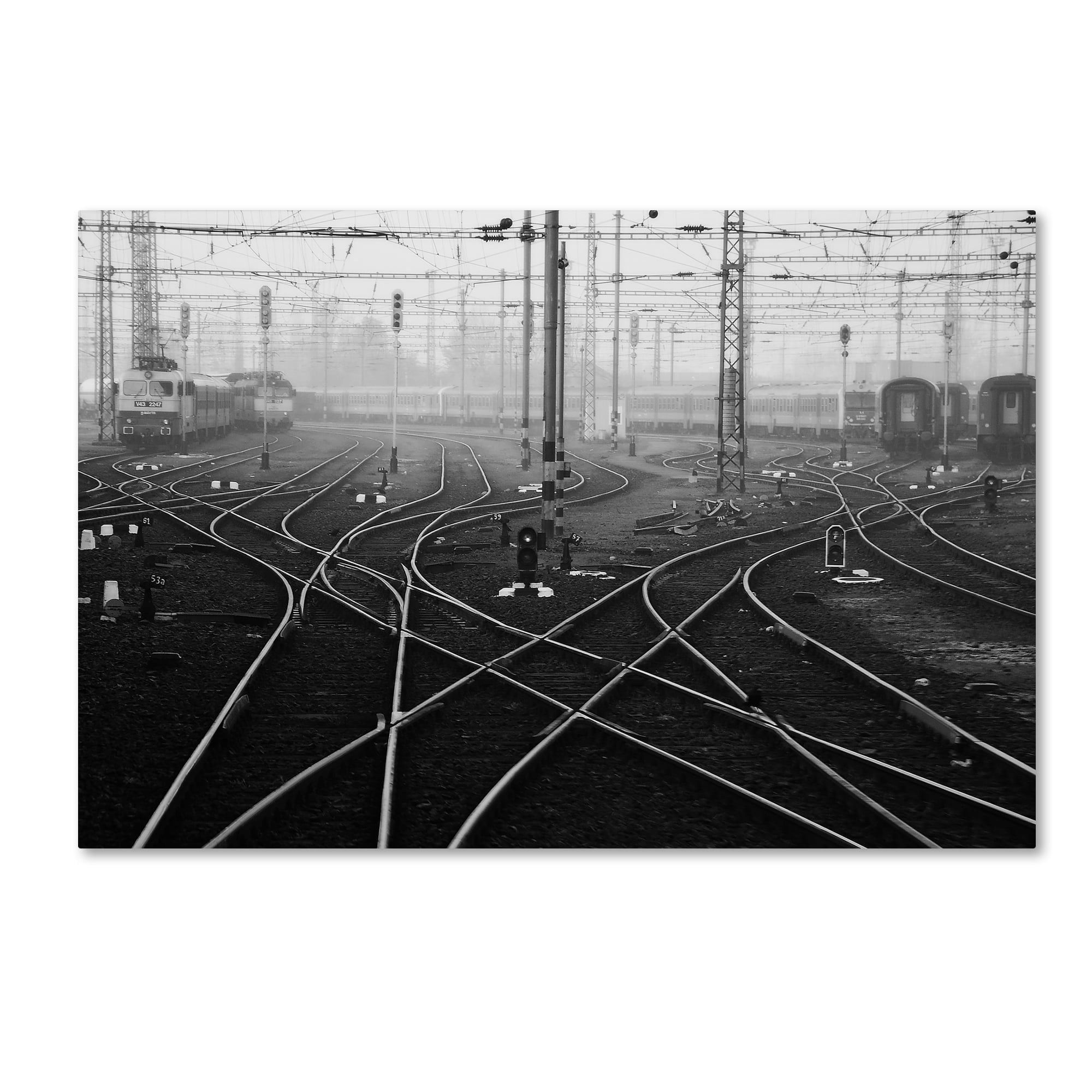 Nicoleta Gabor 'Im A November Passenger' Canvas Art