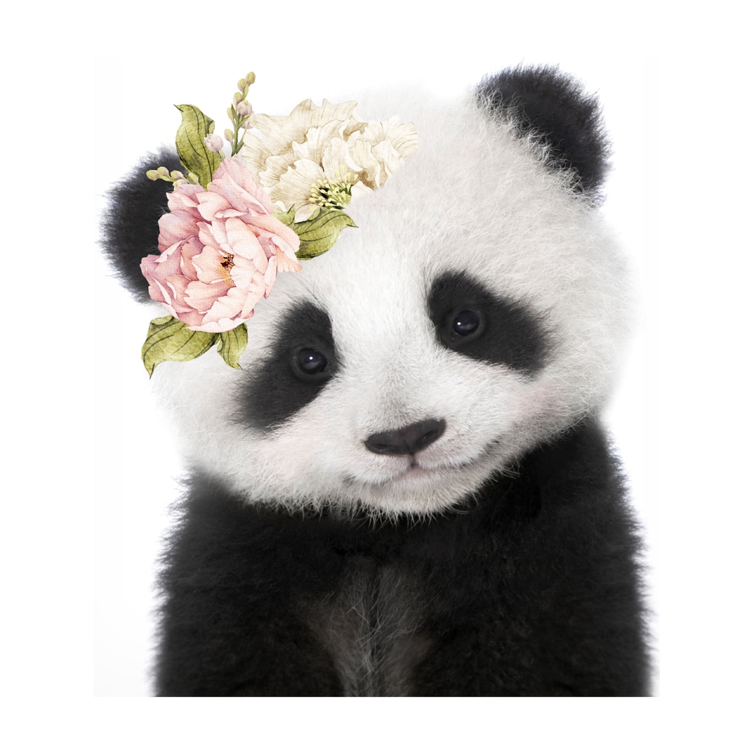 Lola Peacock 'Floral Baby Panda' Canvas Art