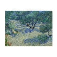 thumbnail image 1 of Van Gogh 'Olive Orchard' Canvas Art, 1 of 4