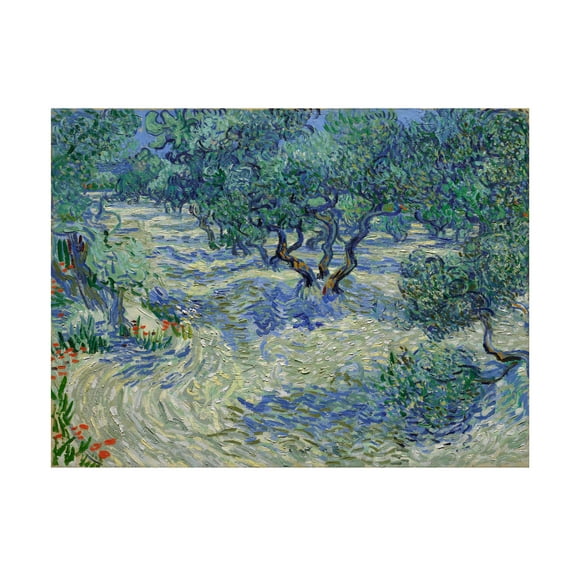 Van Gogh 'Olive Orchard' Canvas Art