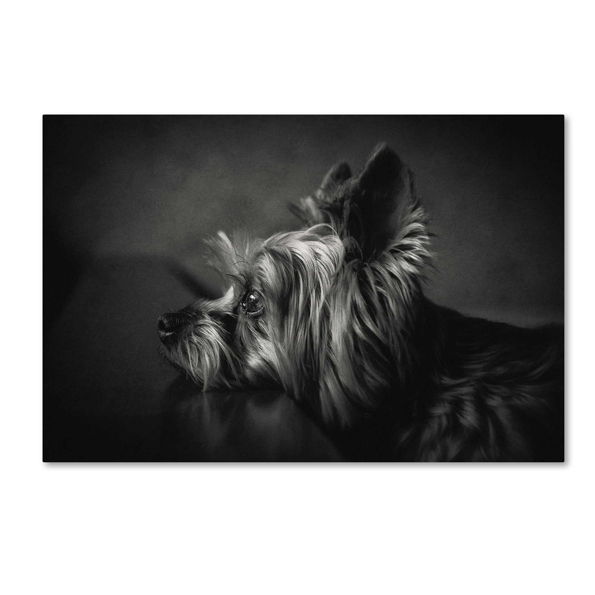 Krisztina Lacz 'I Have Been Waiting For You ...' Canvas Art