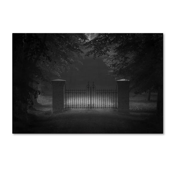 Allan Wallberg 'Far But No Further' Canvas Art