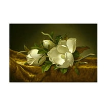 Trademark Fine Art Martin Johnson Heade Magnolias On Gold Velvet Cloth Canvas Wall Art - 22x32