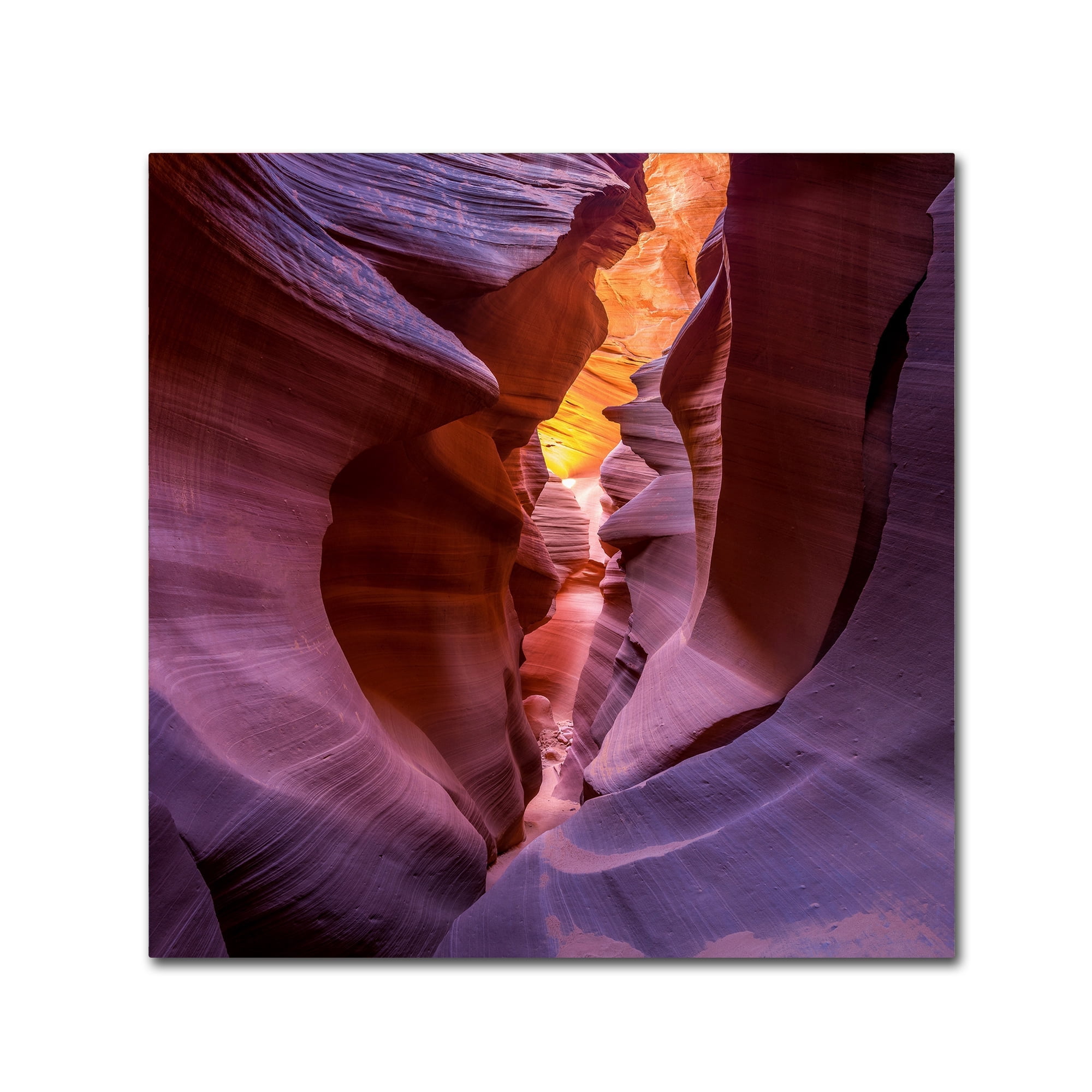 Sandipan Biswas 'Fire In Canyon' Canvas Art