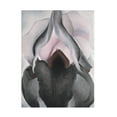 thumbnail image 1 of Trademark Fine Art Georgia O'Keefe Black Iris Canvas Wall Art - 35x47, 1 of 4