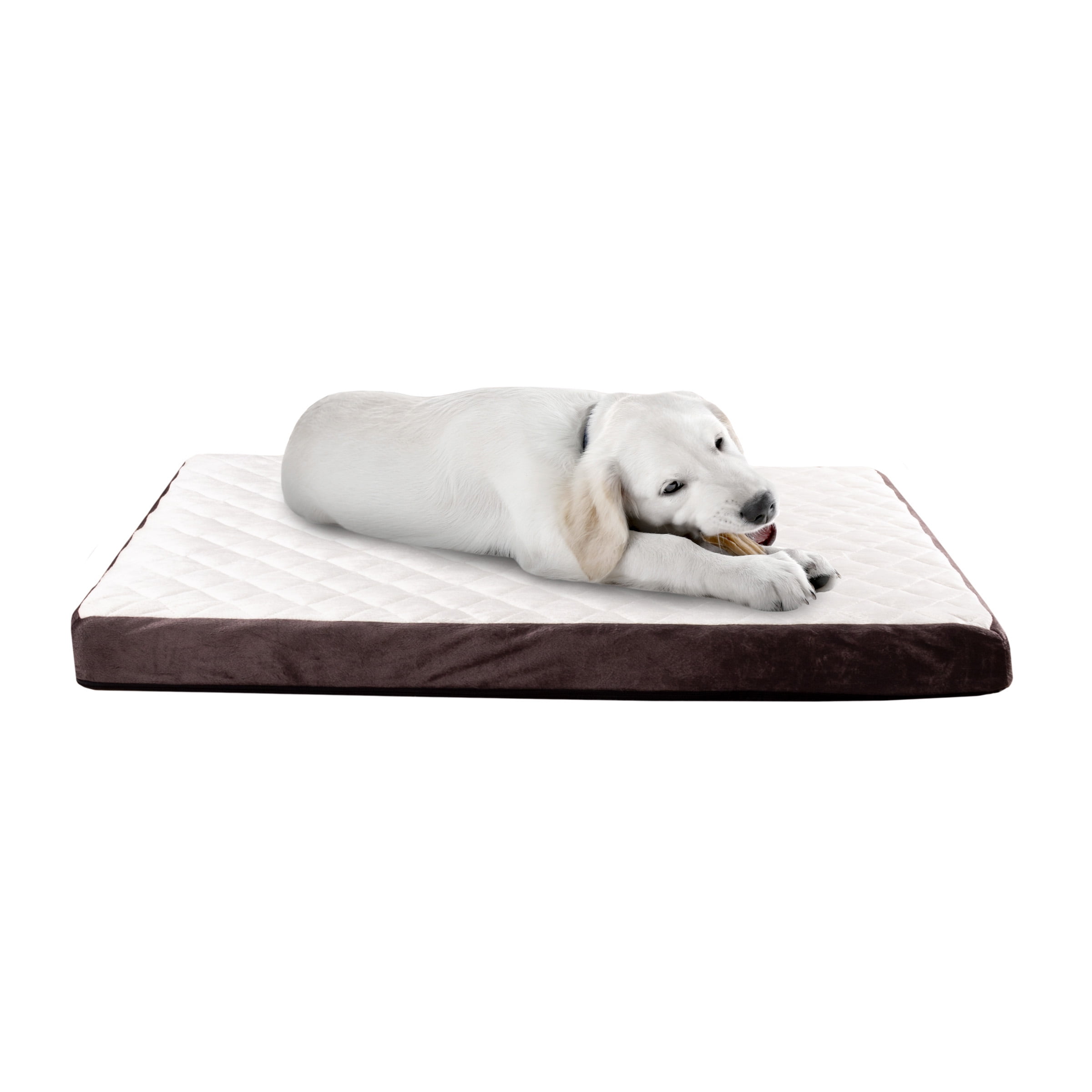 Large Orthopedic Brown Foam Dog Bed with Plush Cover