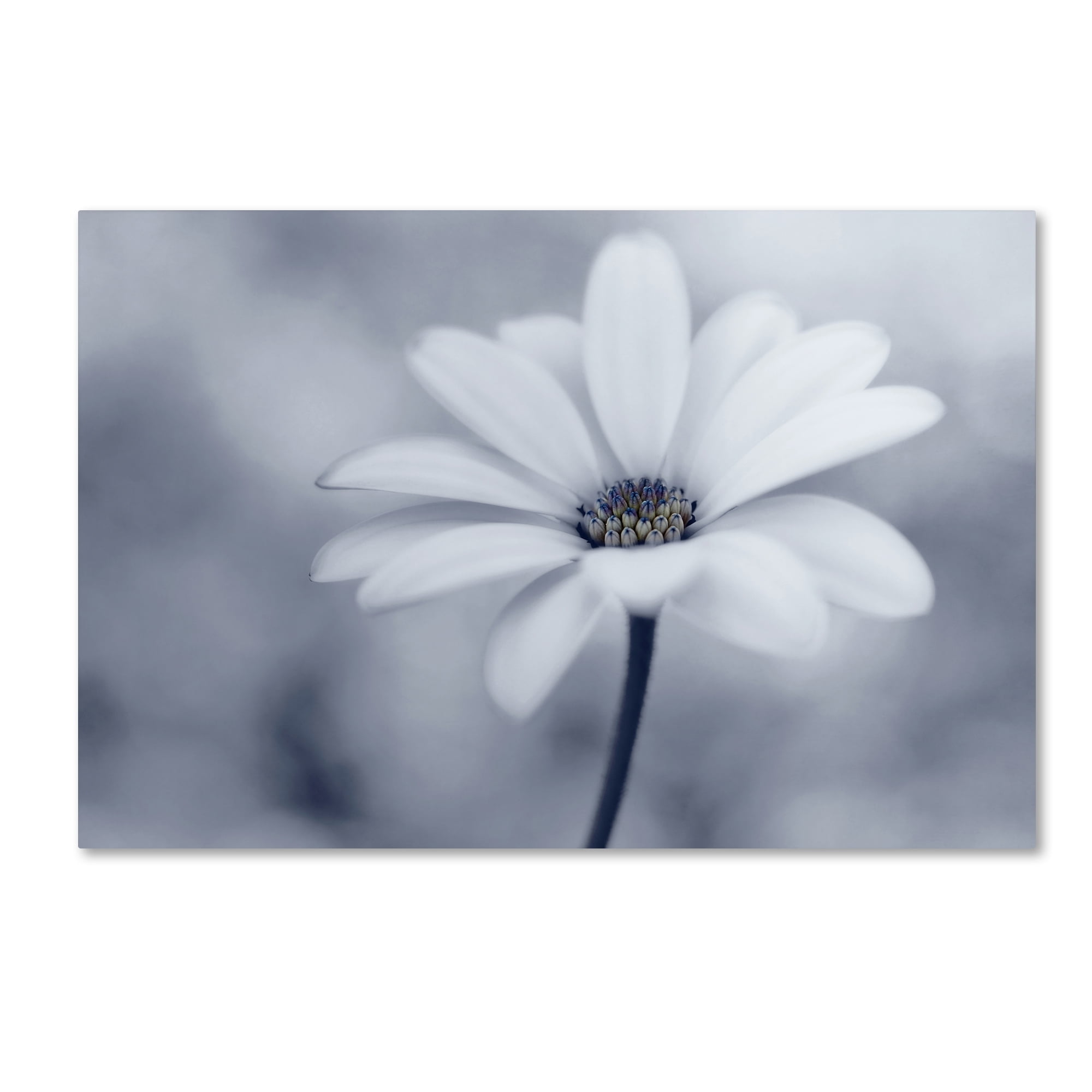 Lotte Gronkj�r 'Blue Tones' Canvas Art
