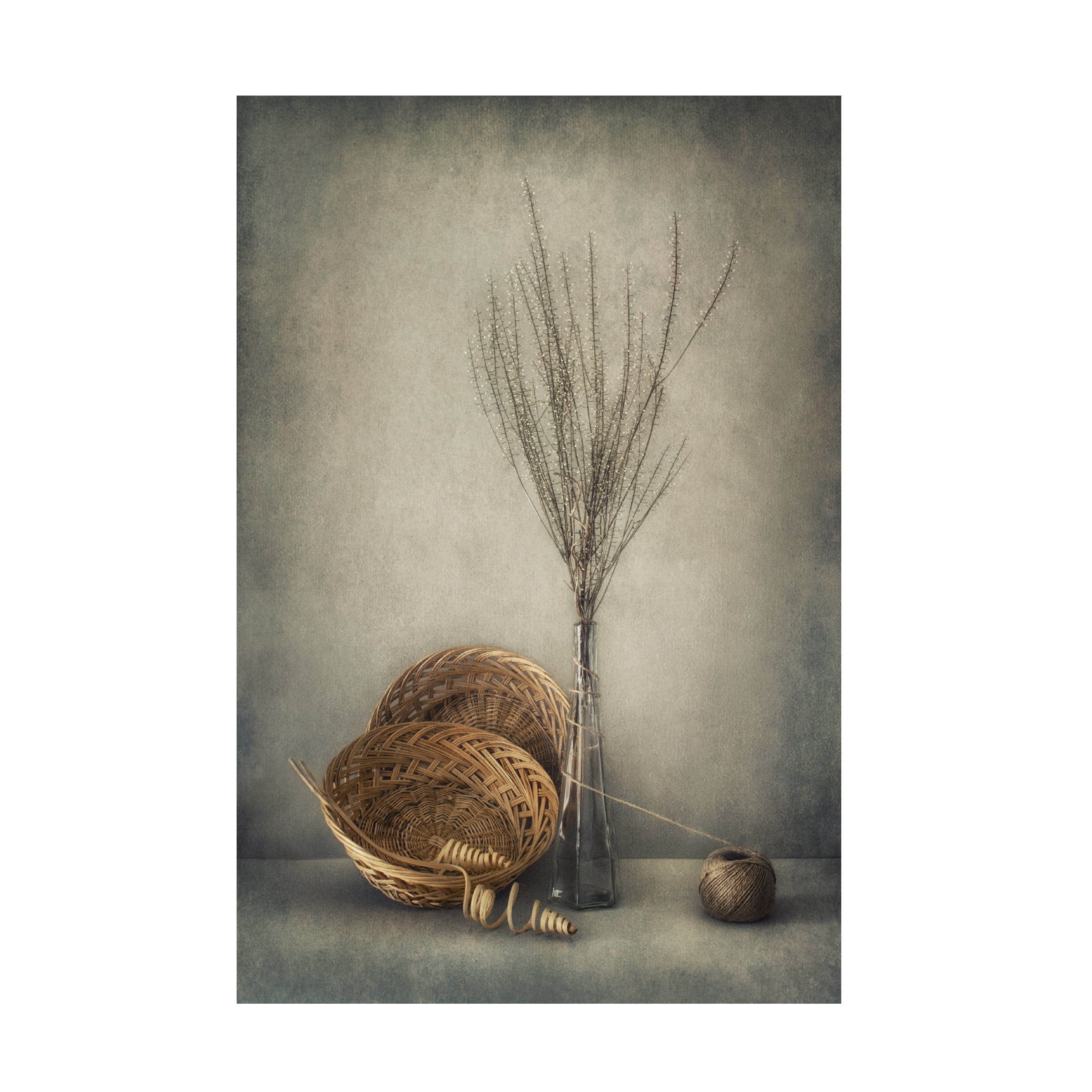 Dimitar Lazarov 'Almost Autumn' Canvas Art