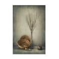thumbnail image 1 of Dimitar Lazarov 'Almost Autumn' Canvas Art, 1 of 4