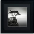 thumbnail image 1 of Dave MacVicar The Lone Cypress Matted Framed Wall Art, 1 of 4