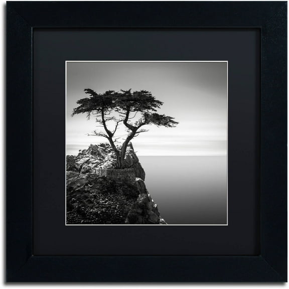 Dave MacVicar The Lone Cypress Matted Framed Wall Art