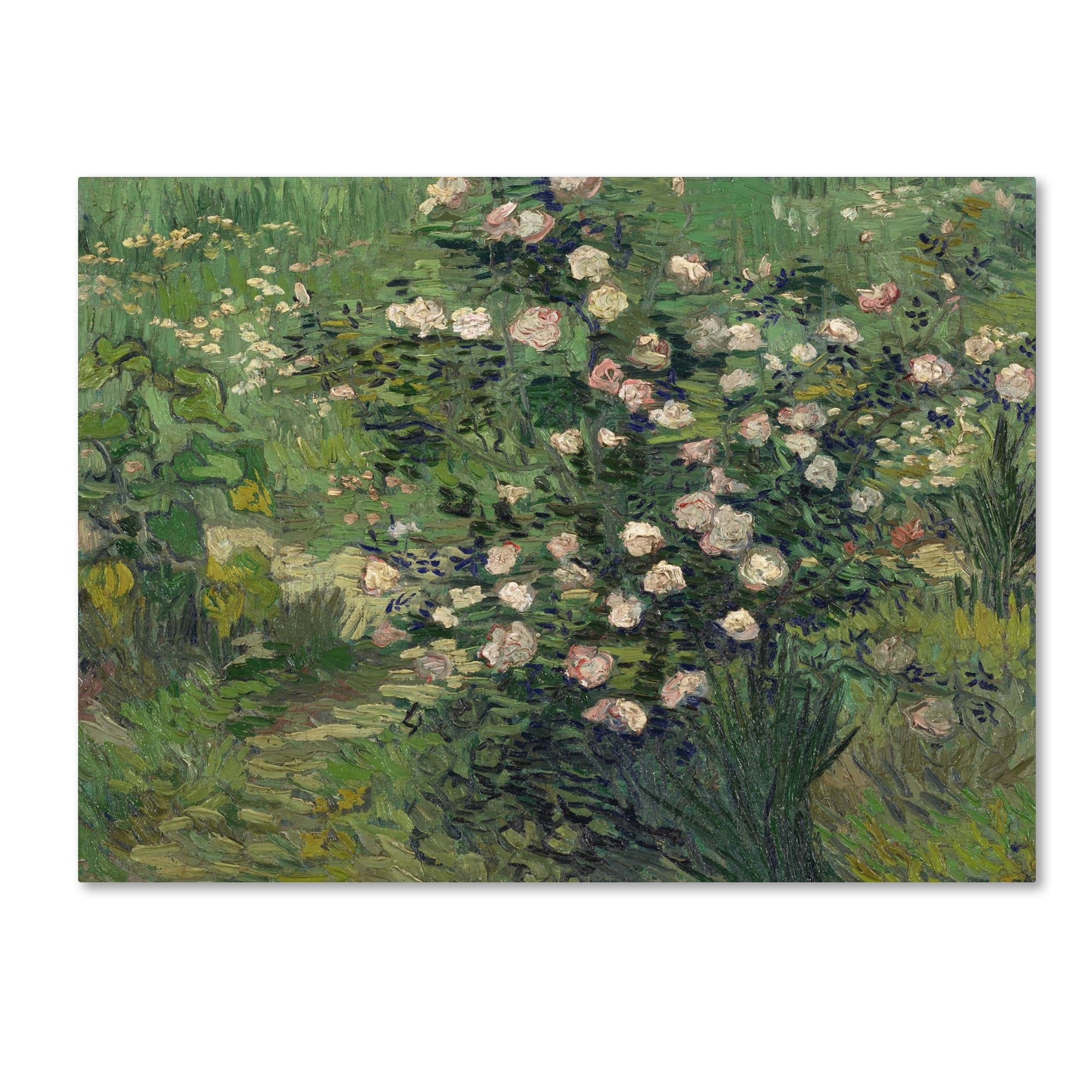 Vincent Van Gogh 'Roses' Green and Pink Canvas Art, 27 x 33