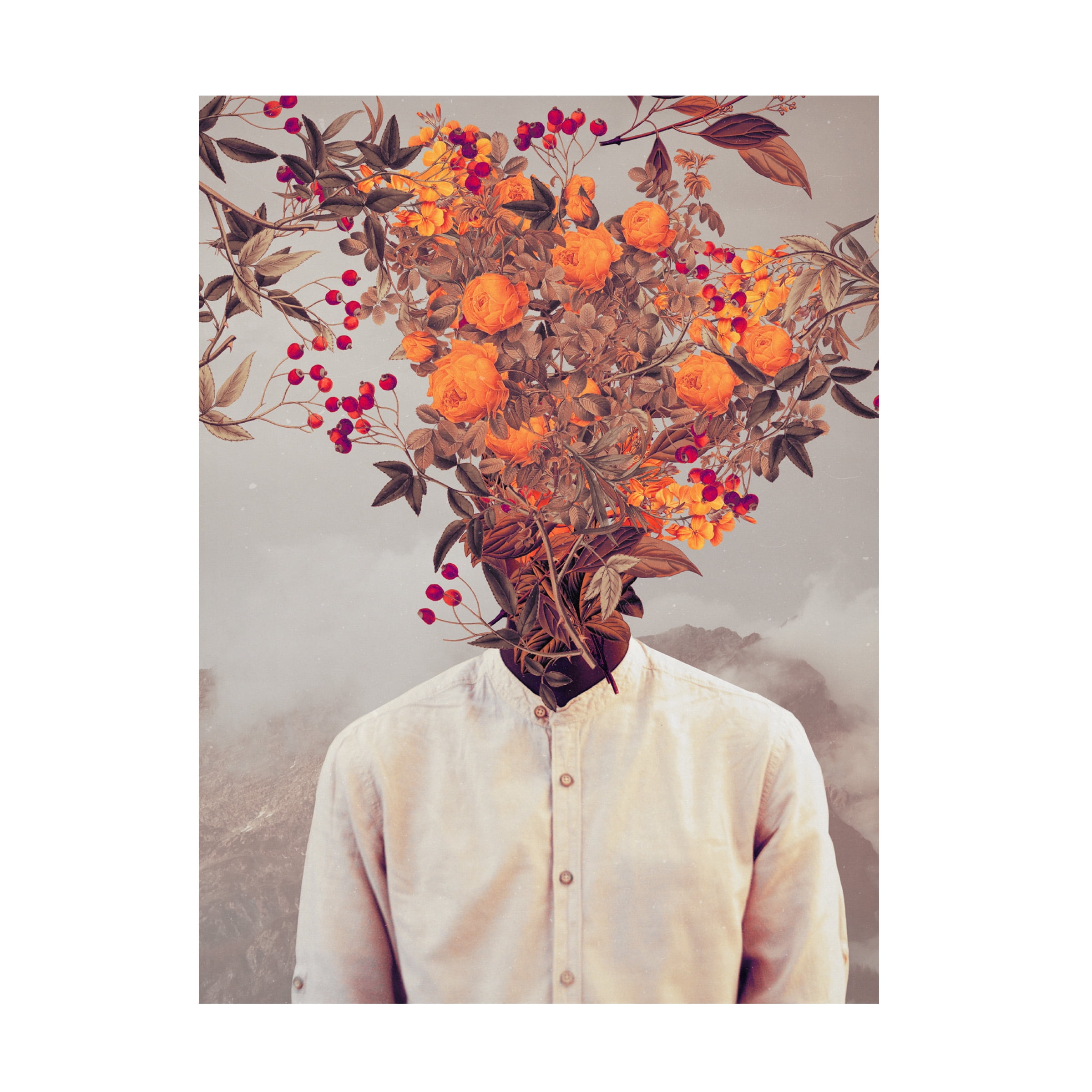 Trademark Fine Art Frank Moth  Bright Bloom Canvas Wall Art - 24x32