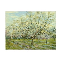 Van Gogh 'The White Orchard' Canvas Art