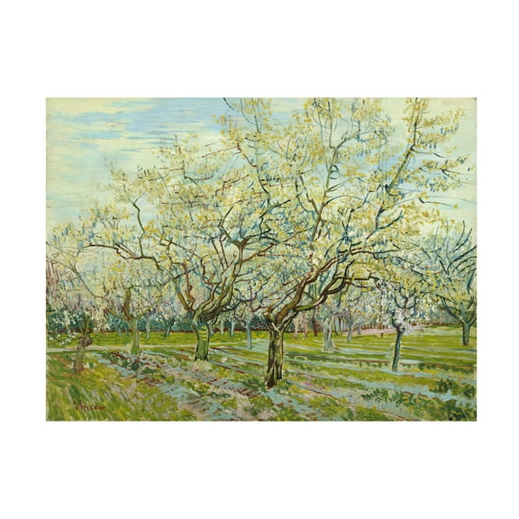 Van Gogh 'The White Orchard' Canvas Art
