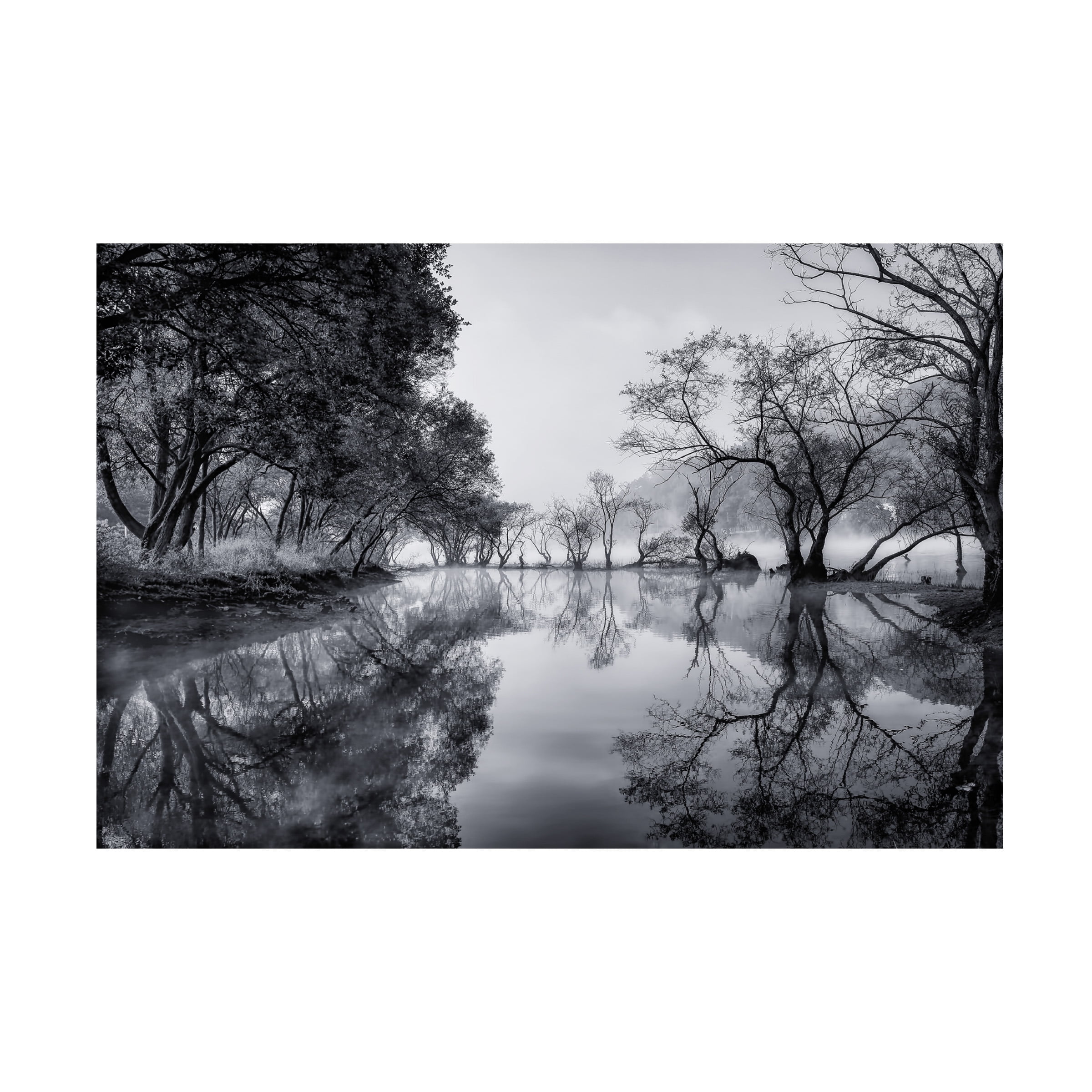 Tiger Seo 'Healing Spot' Canvas Art