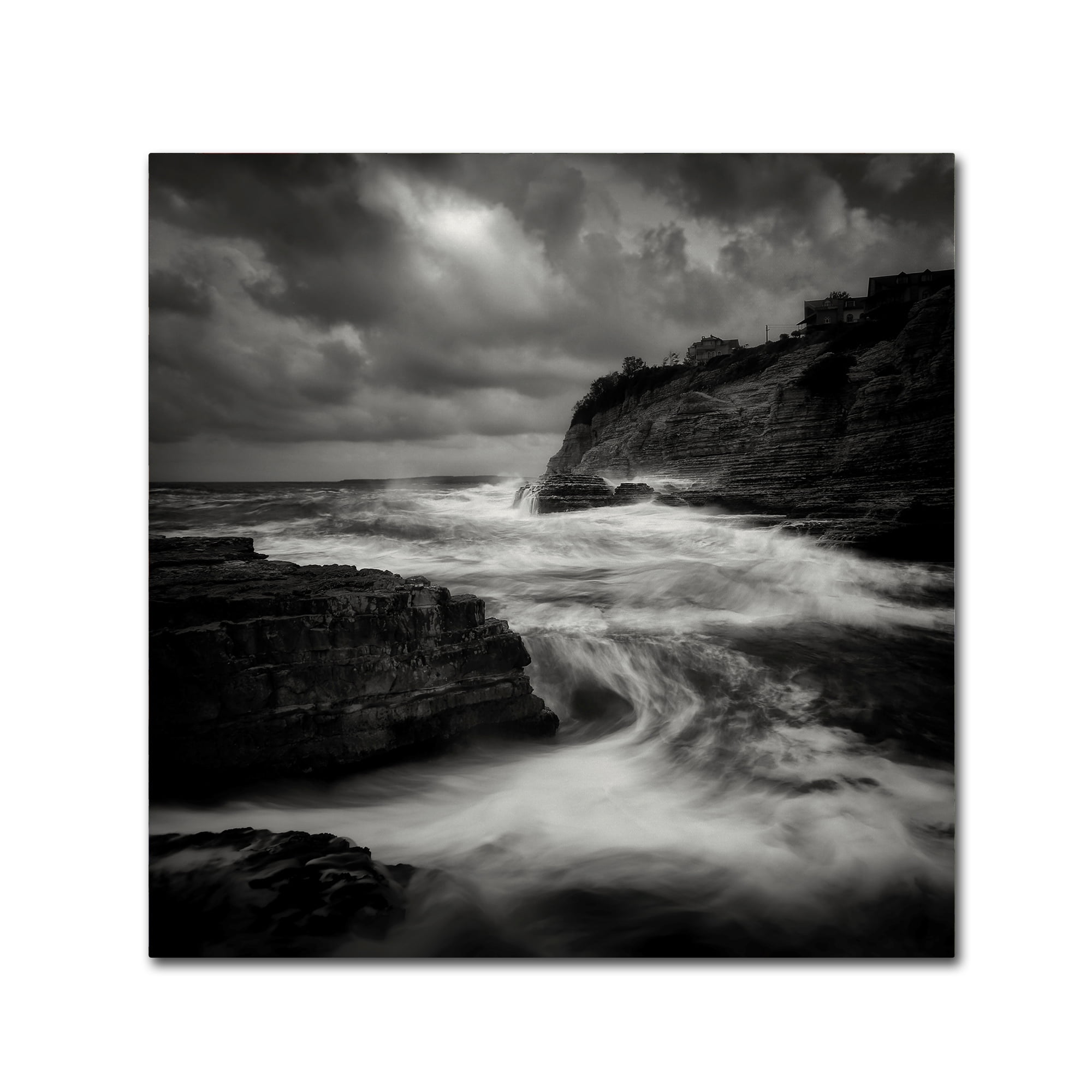 Yucel Basoglu 'Storm' Canvas Art