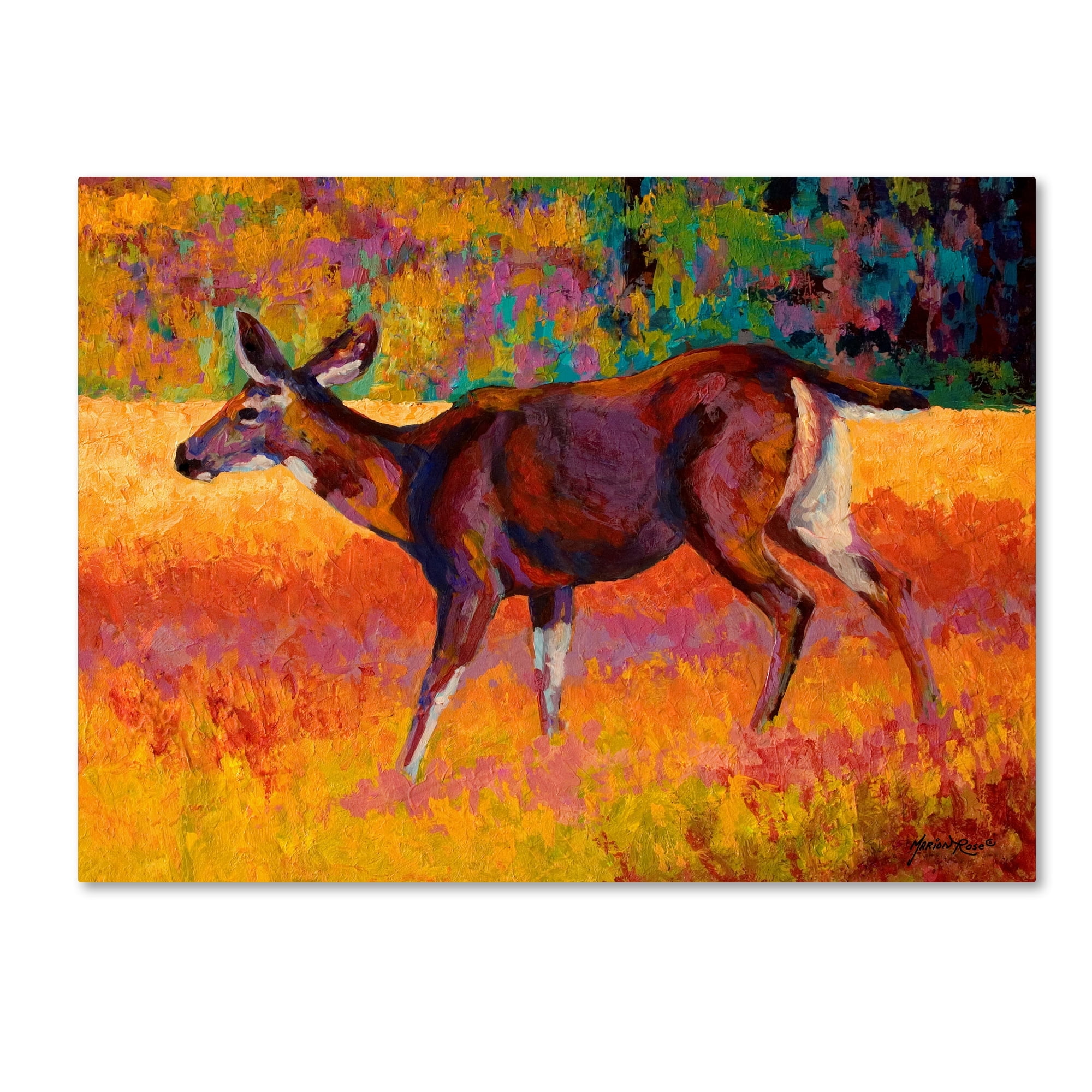 Marion Rose 'Doe I' Canvas Art