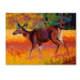 thumbnail image 1 of Marion Rose 'Doe I' Canvas Art, 1 of 3