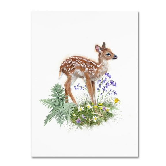 The Macneil Studio 'Deer' Canvas Art
