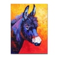 thumbnail image 1 of Marion Rose 'Donkey IVX' Canvas Art, 1 of 3