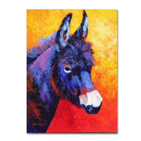 Marion Rose 'Donkey IVX' Canvas Art