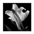 thumbnail image 1 of 24x24 Gallery Wrapped Canvas Art, 1 of 4