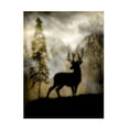 thumbnail image 1 of LightBoxJournal 'Mystic Deer' Canvas Art, 1 of 4