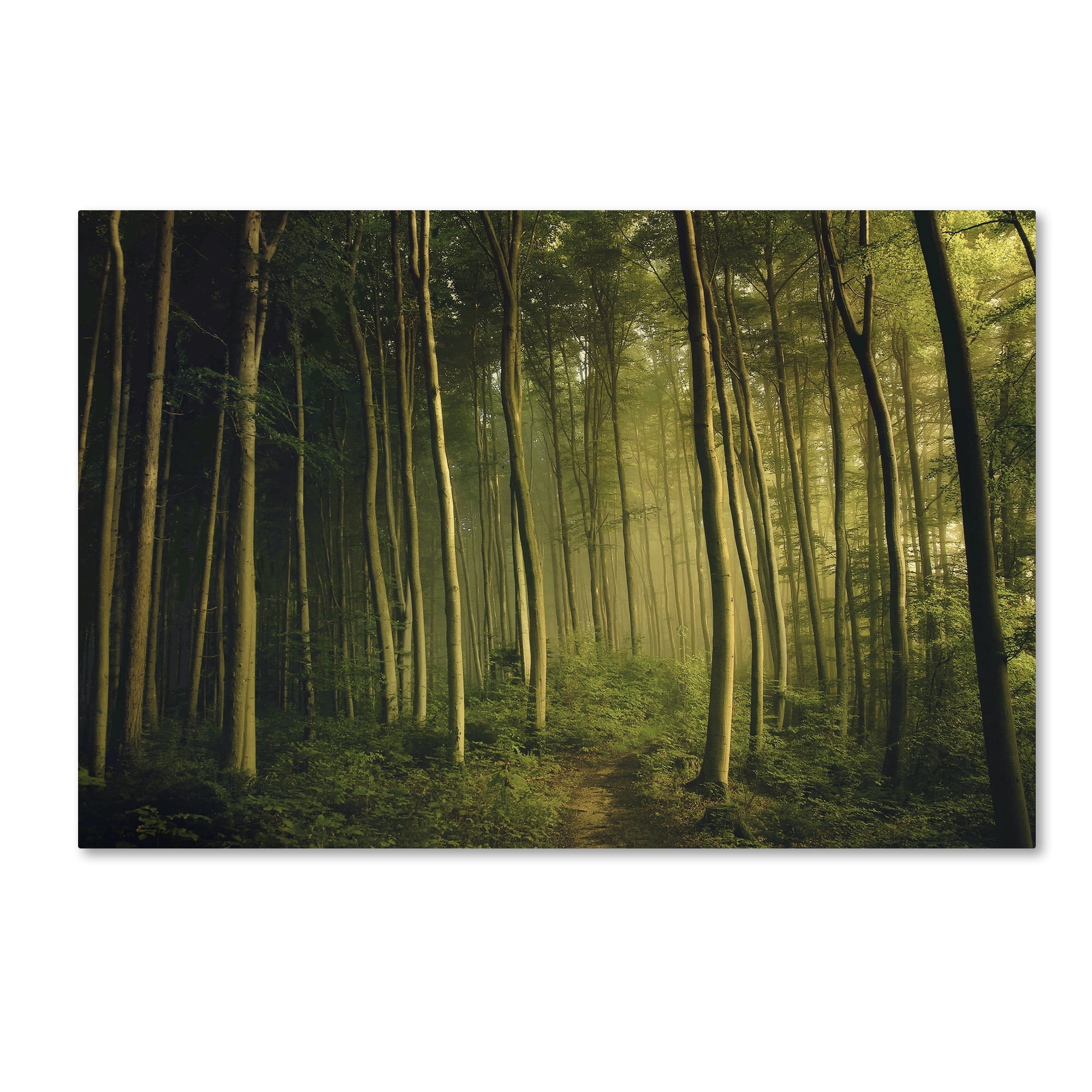 Norbert Maier 'On My Own' Canvas Art