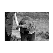 Bjoern Alicke 'Close' Canvas Art