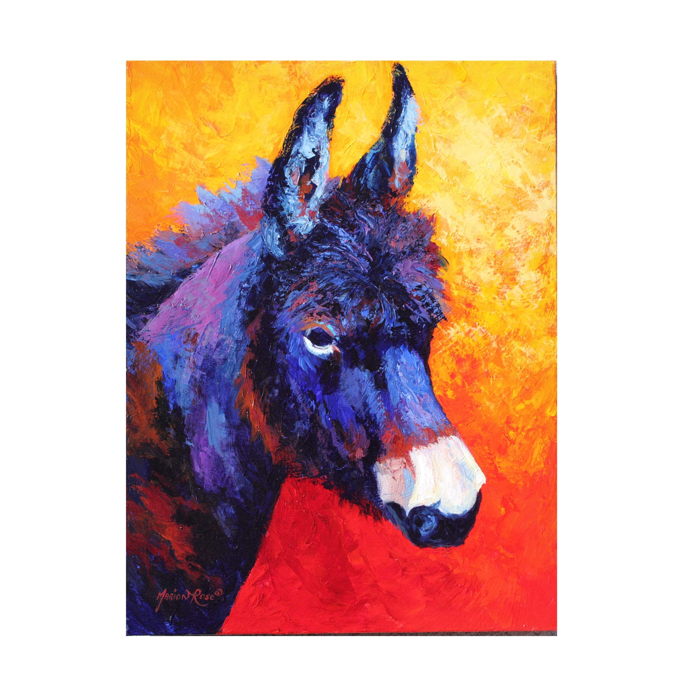Marion Rose 'Donkey IVX' Canvas Art