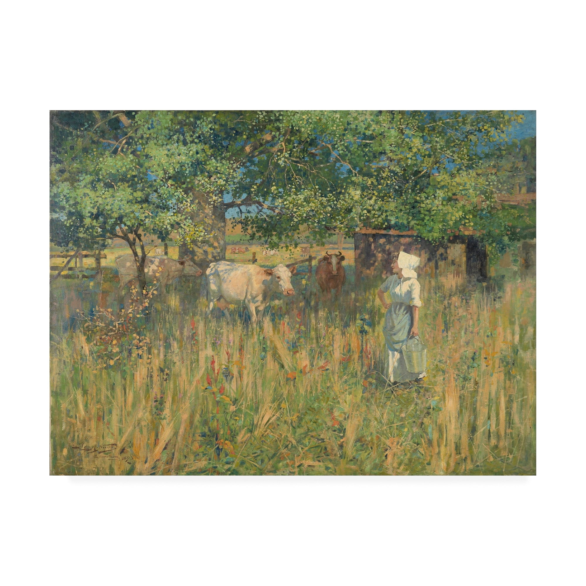 James M. Nairn 'Tess' Canvas Art