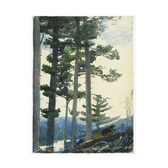 Homer 'Old Settlers' Canvas Art