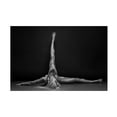 thumbnail image 1 of Anton Belovodchenko 'Bodyscape' Canvas Art, 1 of 4