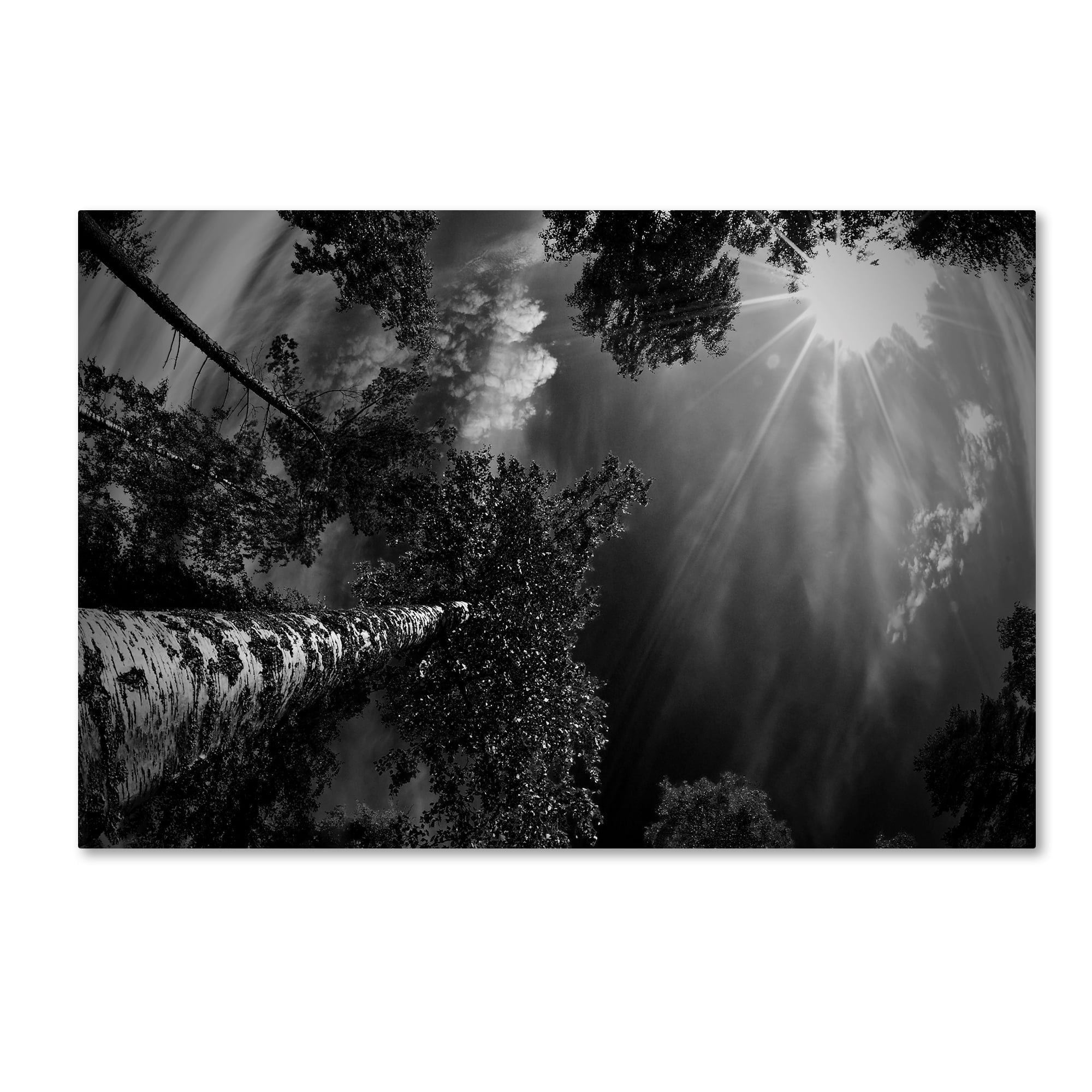 Mikael Jigmo 'Dreaming Before The Thunder' Canvas Art