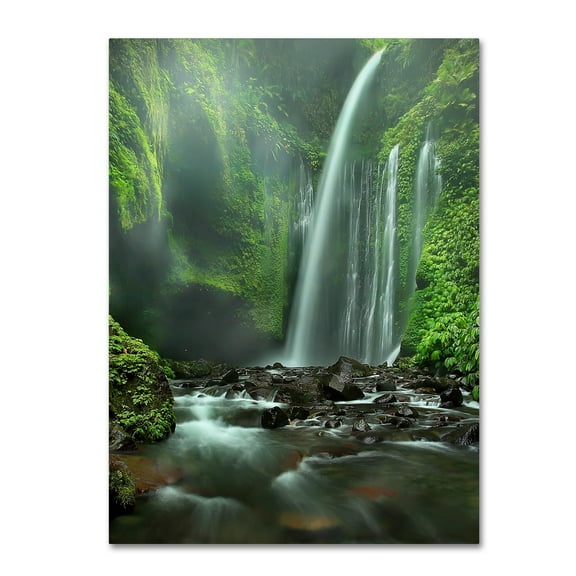 Adhi Prayoga 'Tiu Kelep' Canvas Art