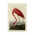 thumbnail image 1 of Trademark Fine Art John James Audubon Starry Night Canvas Wall Art - 30x47, 1 of 5