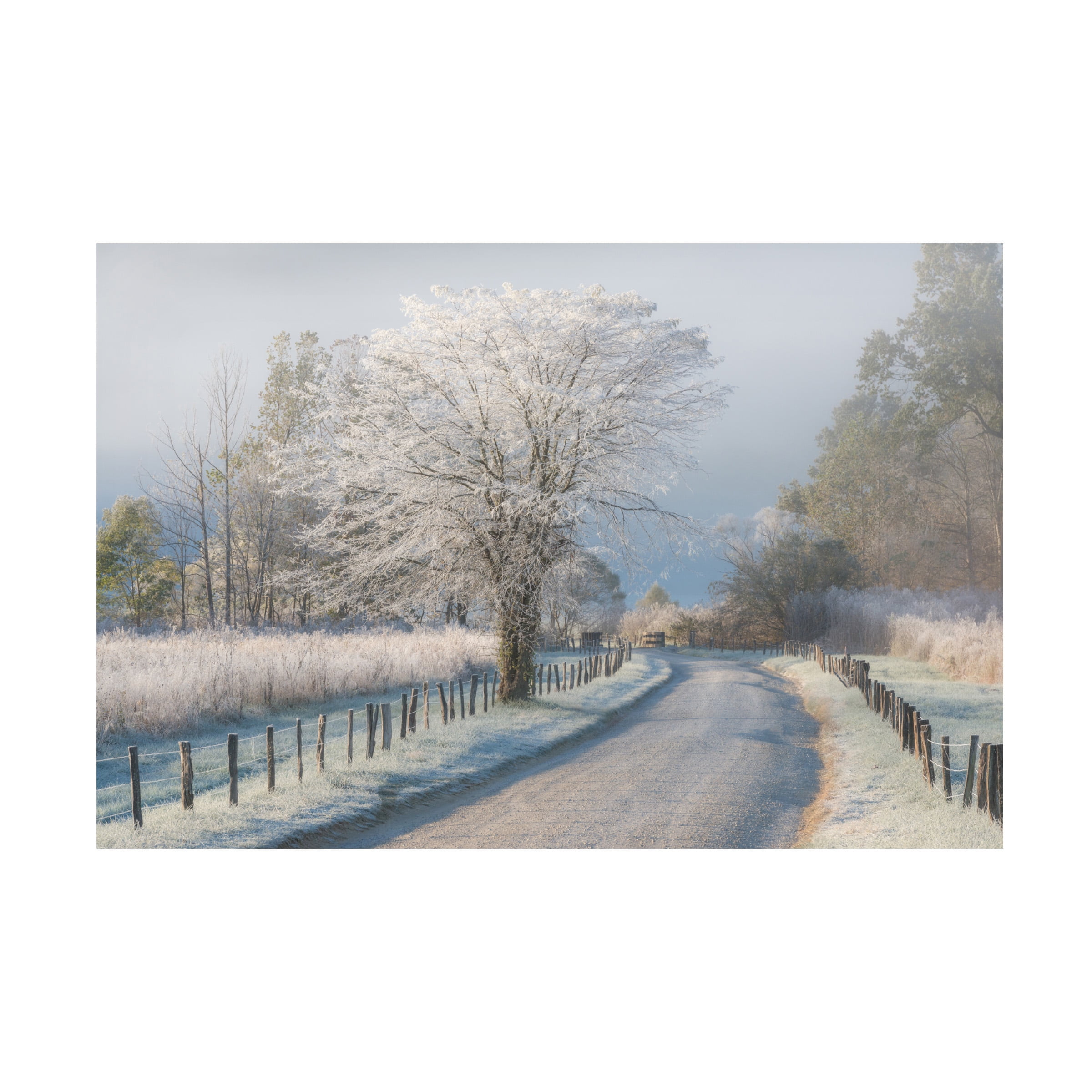 Chris Moore 'A Frosty Morning' Canvas Art