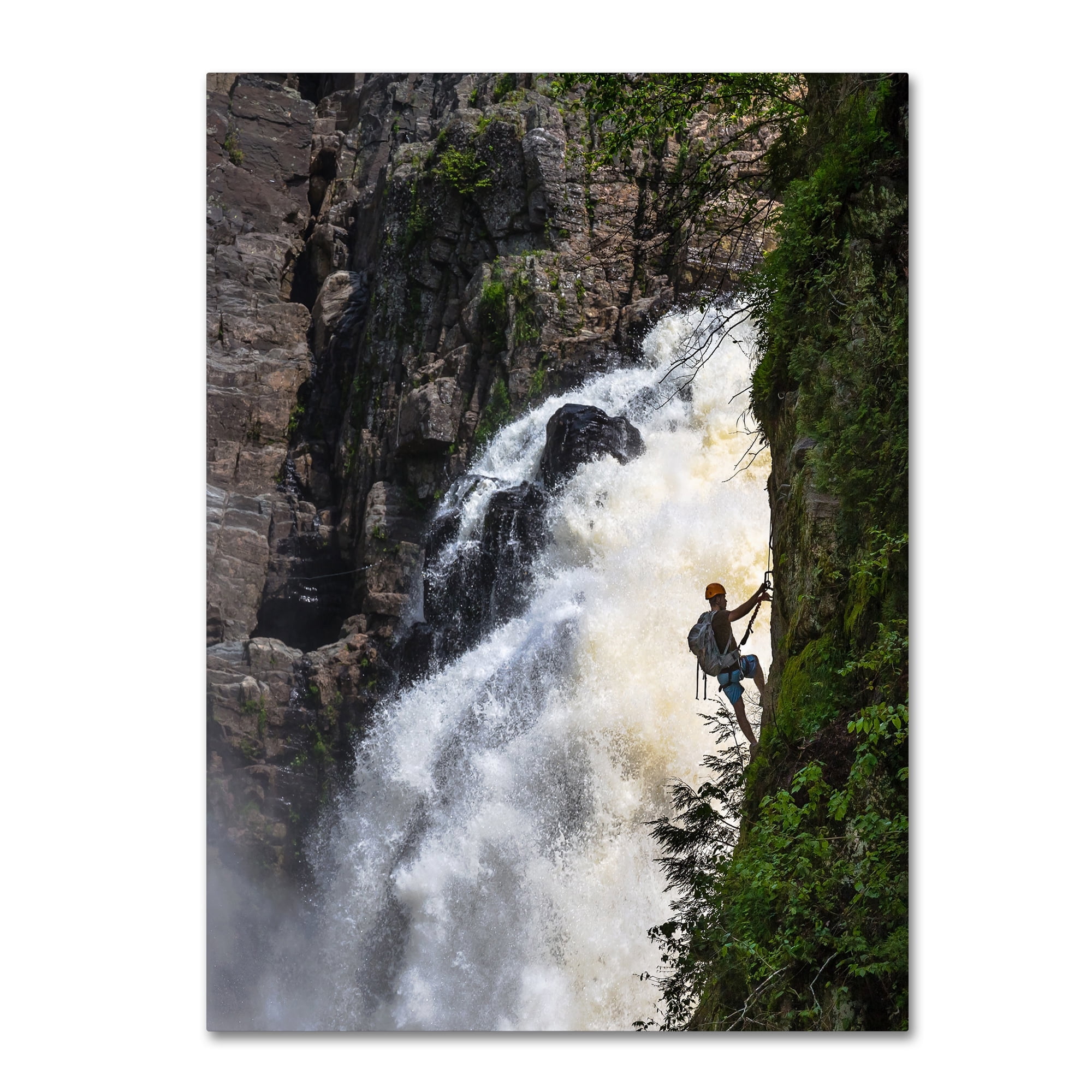Wioletta 'Climbing' Canvas Art
