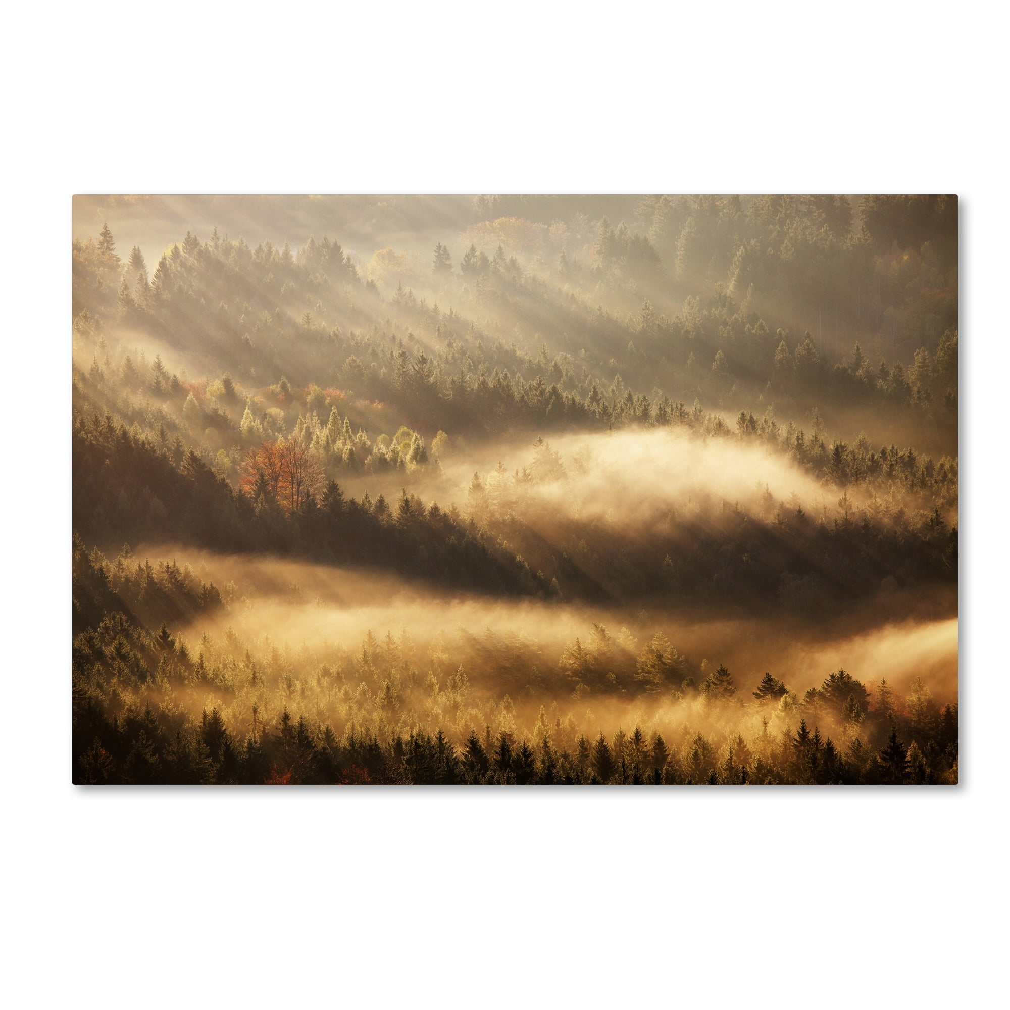 Martin Rak 'Autumn Rays' Canvas Art