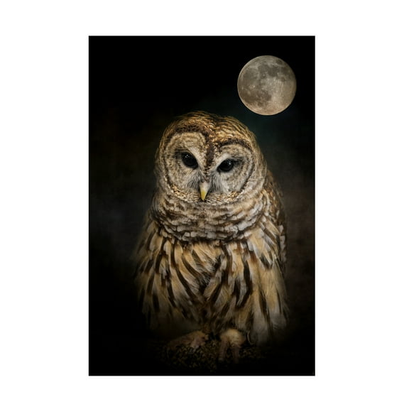 Trademark Fine Art Jai Johnson Barred Owl And The Moon Canvas Wall Art - 12x19