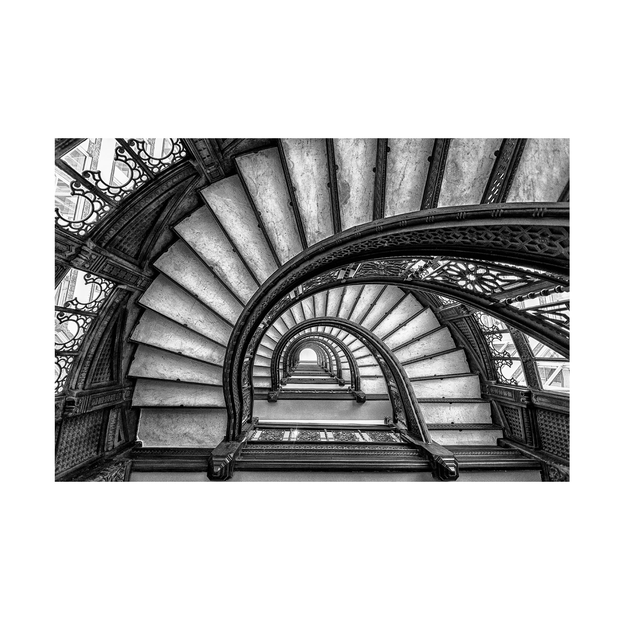 Yimei Sun 'The Rookery' Canvas Art
