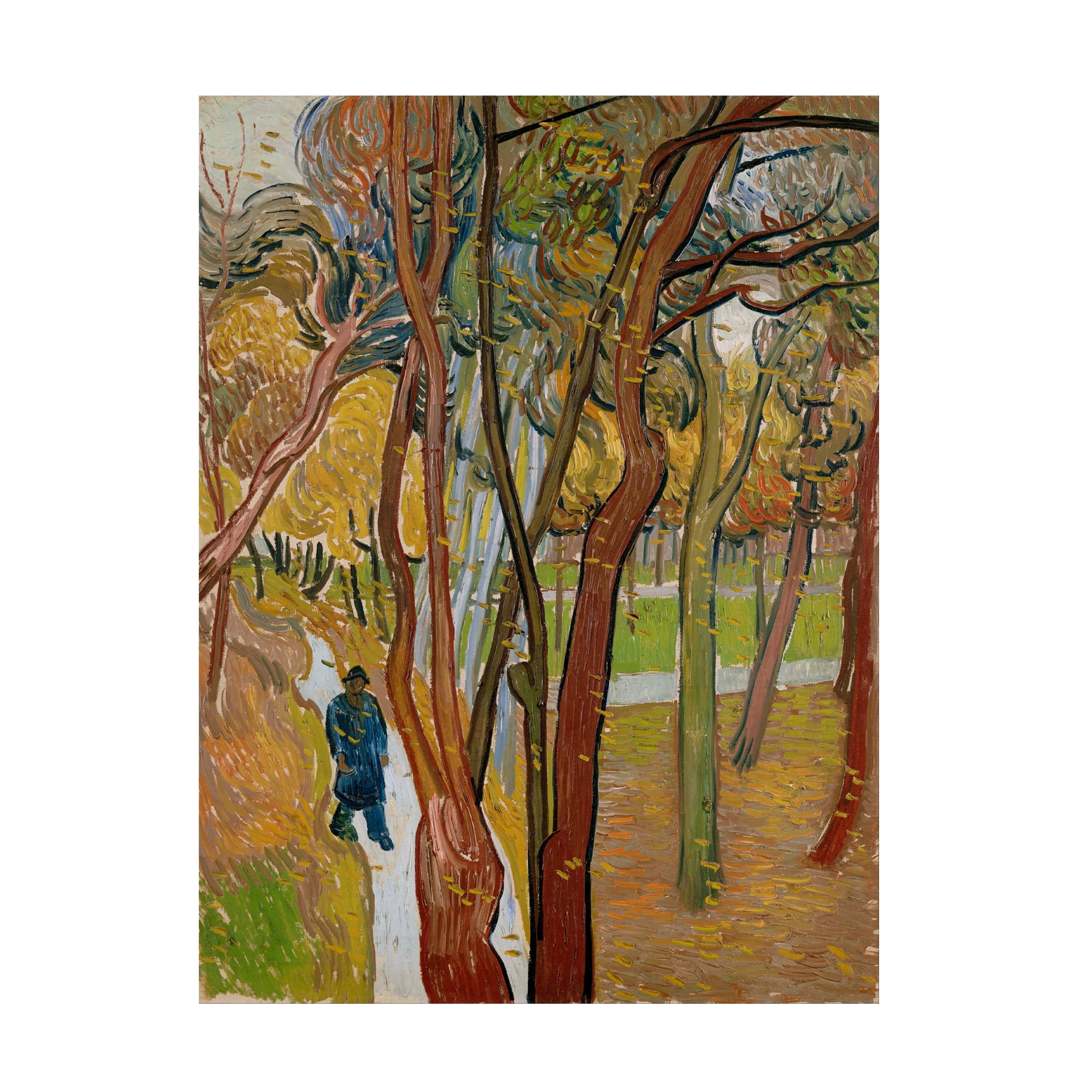 Van Gogh 'The Garden Of Saint Pauls Hospital' Canvas Art
